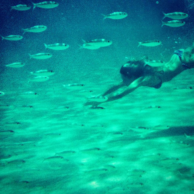 Giovanna Ewbank se encanta ao mergulhar com peixes em Fernando de Noronha