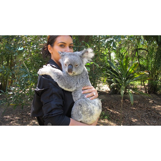 Em visita à Austrália, Kim Kardashian posa com Coala