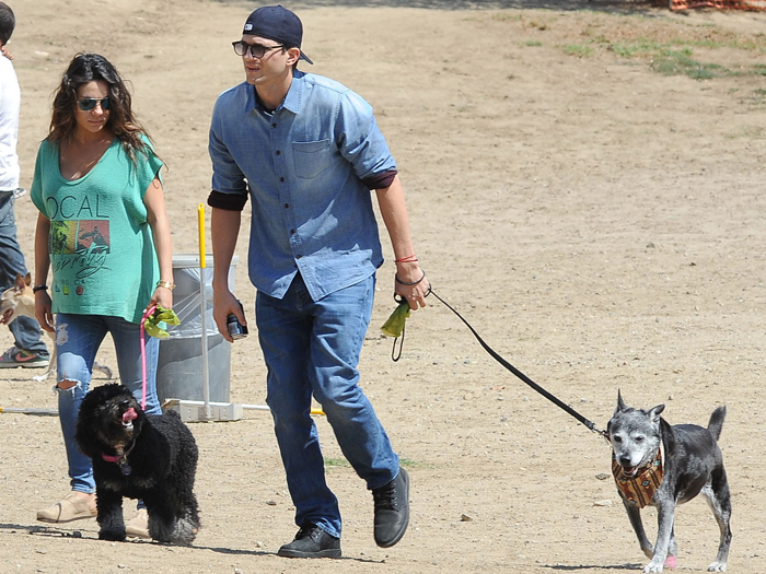 Esperando o primeiro filho, Ashton Kutcher e Mila Kunis passeiam com os pets
