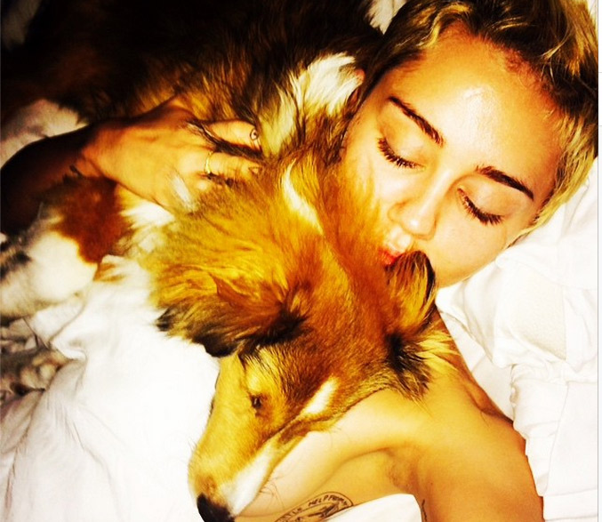 Miley Cyrus reúne cães e seu porquinho de estimação para fotos inusitadas