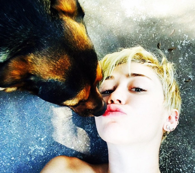 Miley Cyrus reúne cães e seu porquinho de estimação para fotos inusitadas
