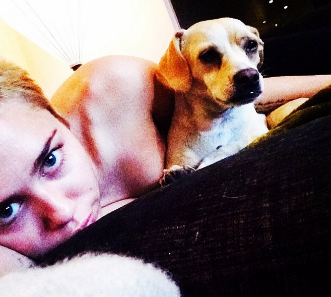 Miley Cyrus reúne cães e seu porquinho de estimação para fotos inusitadas