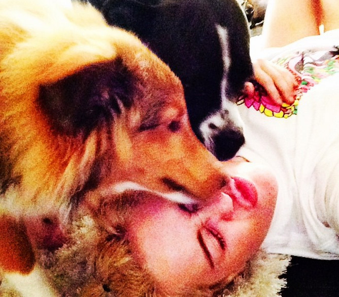 Miley Cyrus reúne cães e seu porquinho de estimação para fotos inusitadas