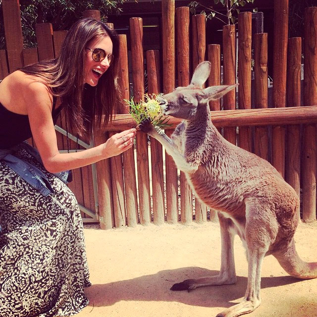 Na Austrália, Alessandra Ambrósio faz amizade com um canguru