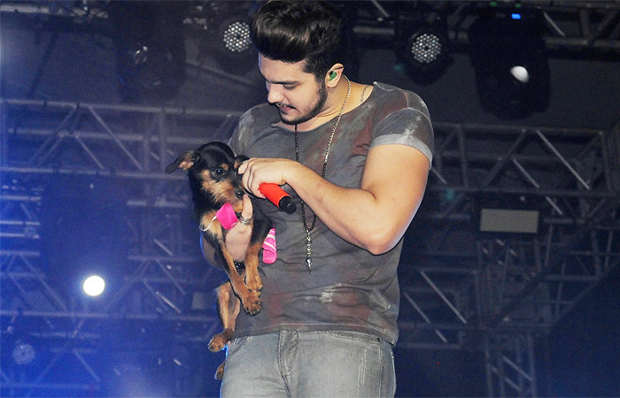 Luan Santana canta com cachorro de fã no colo, durante show