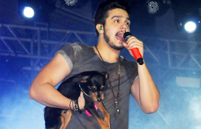 Luan Santana canta com cachorro de fã no colo, durante show