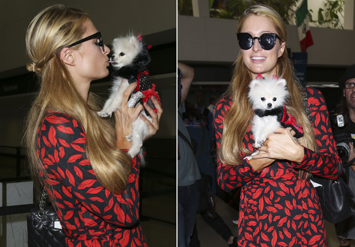 Paris Hilton beija seu cãozinho em aeroporto de Los Angeles