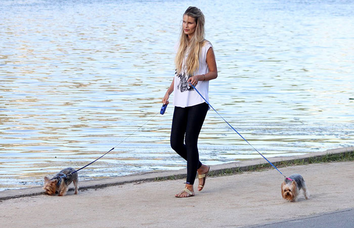 Yasmin Brunet passeia com seus cachorrinhos de estimação