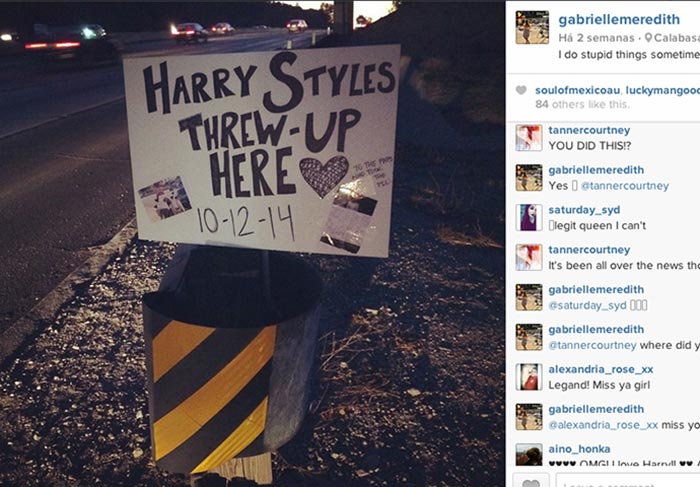 Fã tenta vender vômito de Harry Styles pela Internet