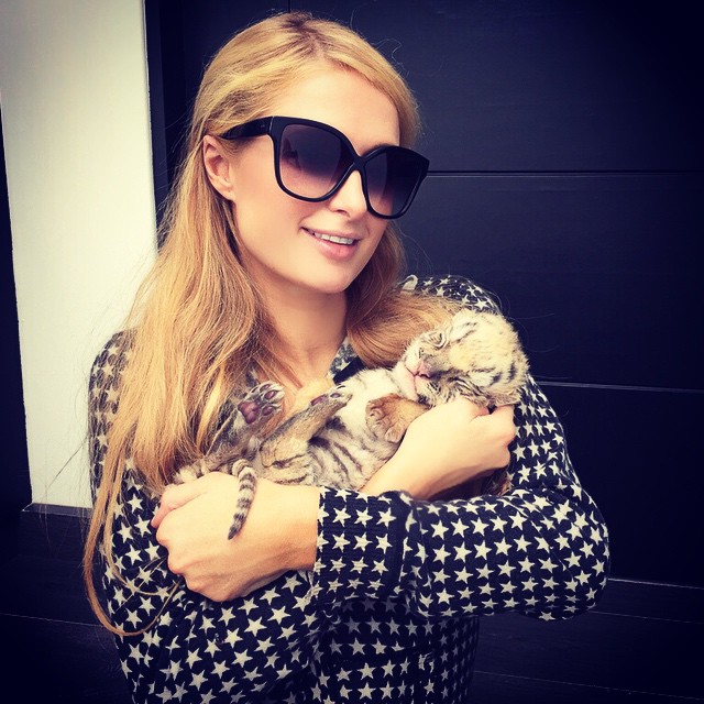 Paris Hilton mima filhote de leão