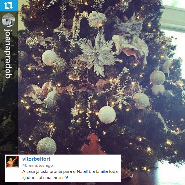 Vítor Belfort compartilha foto de Joana Prado da árvore de Natal de sua casa já montada