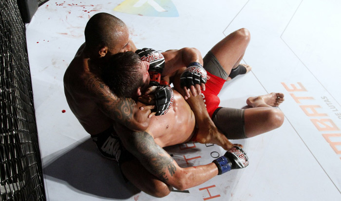 José Loreto e Dudu Nobre vibram com combates de MMA no Rio