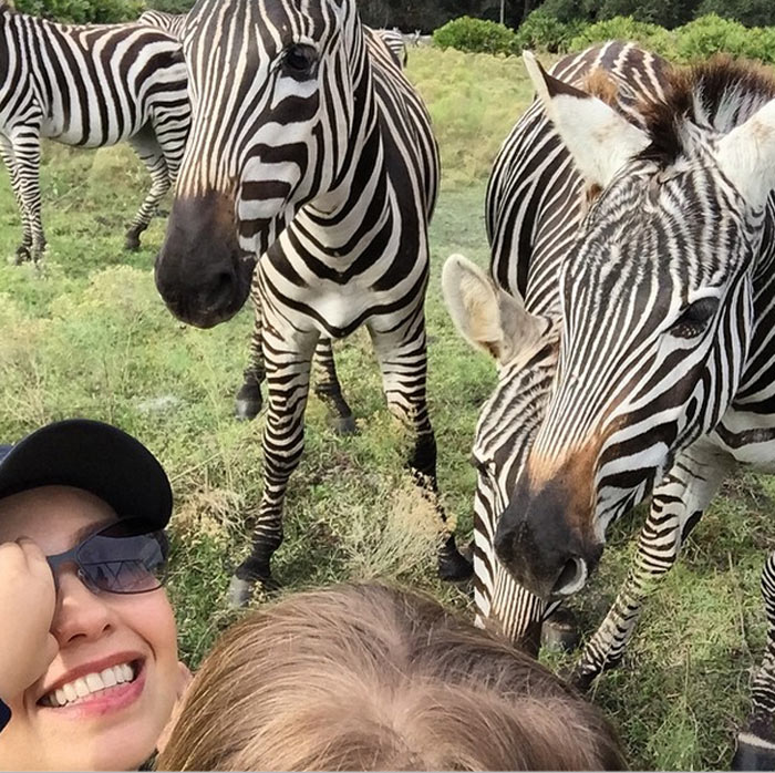 Thalía e os filhos brincam com zebras durante trip