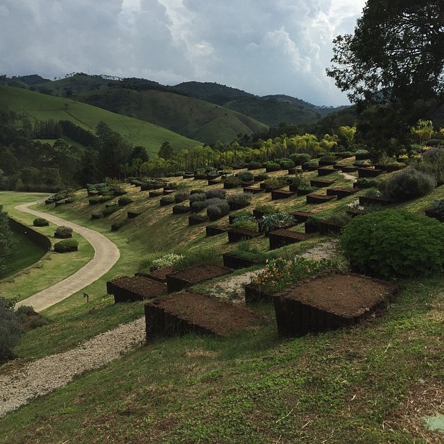 Reynaldo Gianecchini se delicia com as paisagens do interior de São Paulo