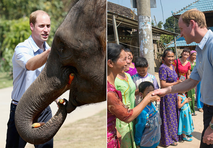 Príncipe William visita santuário de elefantes na China