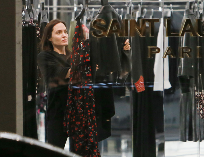 Angelina Jolie fecha loja para fazer compras em Paris