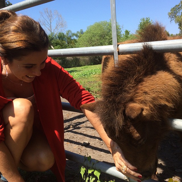 Giovanna Antonelli posa com pet nos bastidores de longa em Orlando