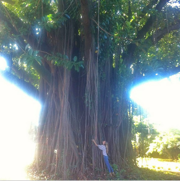 Gisele Bündchen abraça árvore gigante e manda recado ecológico