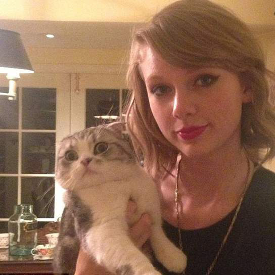 Calvin Harris posta foto das gatas de Taylor Swift 