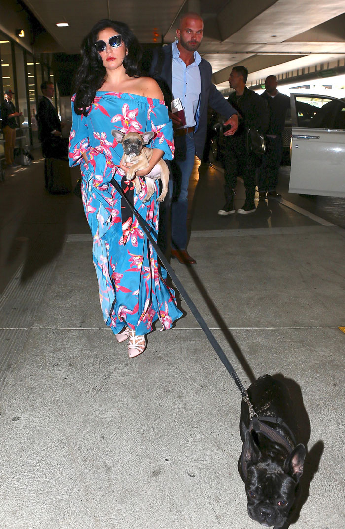 Lady Gaga surge elegante junto com seus dois cachorros em Los Angeles