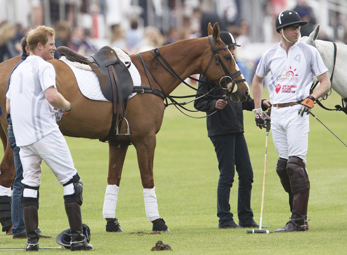 O Jogo De Ação Do Cavalo Dos Cavaleiros Do Jogador De Ireland V Zimbabwe Em  Jogos Do Campeonato Da Polo-cruz Do Campeonato Do Mundo Em Campos Do  Equestrain De Shongweni Fora De