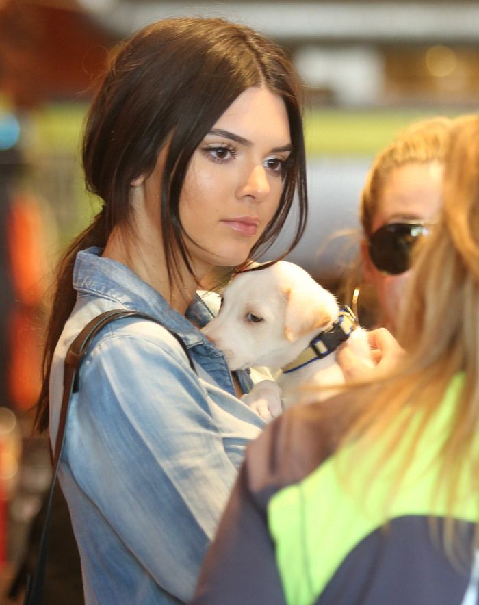  Kendall Jenner ganha cachorrinho de presente da irmã