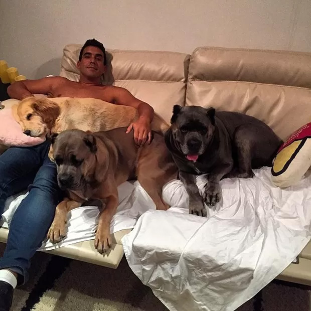 André Marques dorme com 5 cachorros em sua cama