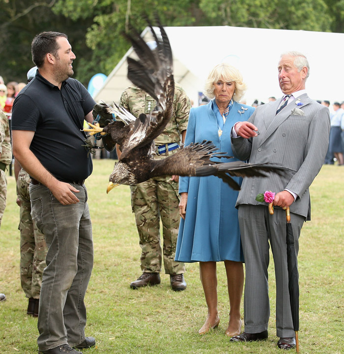 Príncipe Charles e esposa tomam susto com águia em evento