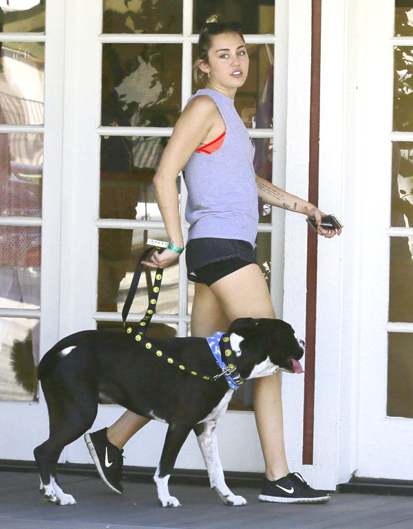 Miley Cyrus usa shortinho e deixa pernas à mostra
