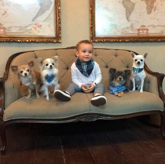 Ana Hickmann posta foto fofíssima do filho com seus pets