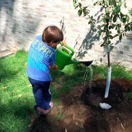 Mamãe coruja! Gisele Bündchen mostra filho plantando árvore