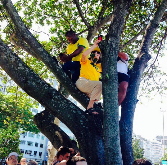 Regina Duarte sobe em árvore para registrar manifestação no Rio
