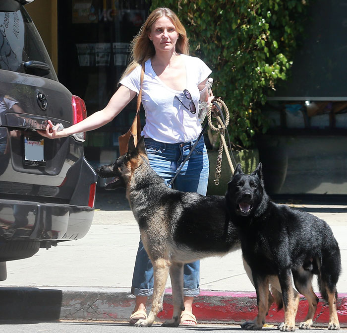 Cameron Diaz aparece ‘ao natural’ em passeio com seus cães