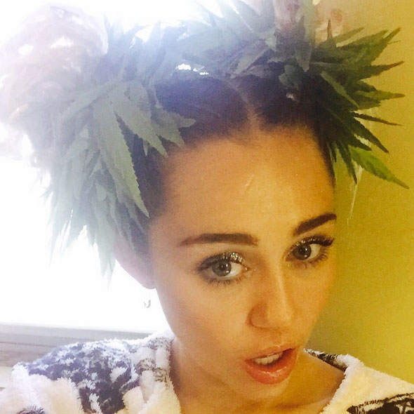 Miley Cyrus polemiza em selfie com plantas de maconha 
