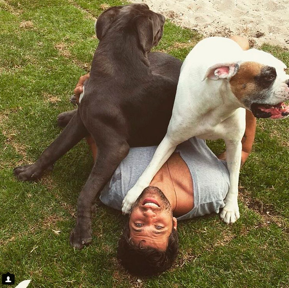 Bruno Gagliasso posta foto divertida com cães