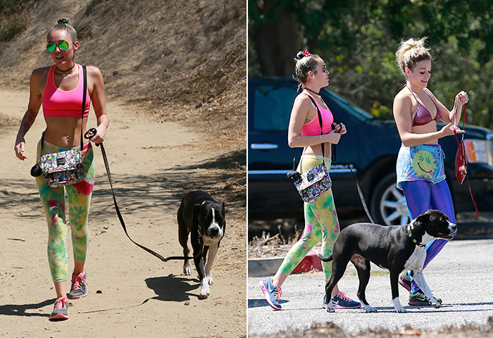 Cheia de estilo, Miley Cyrus leva cachorra para passear