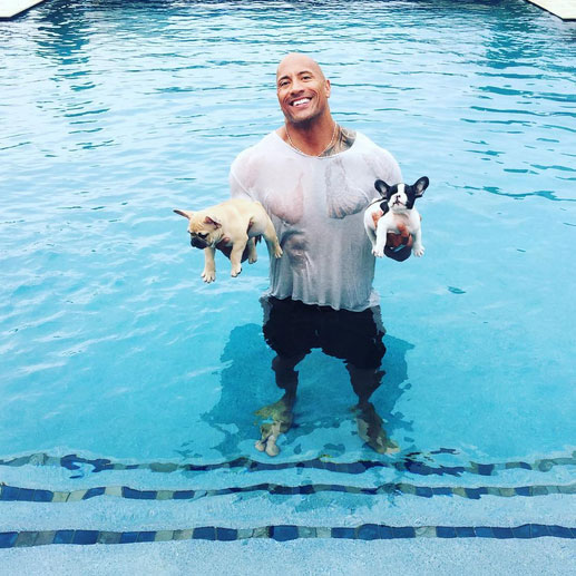 Dwayne Johnson salva seus cãezinhos de afogamento