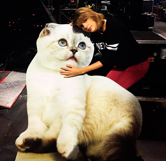 Taylor Swift compartilha saudade de seus gatos