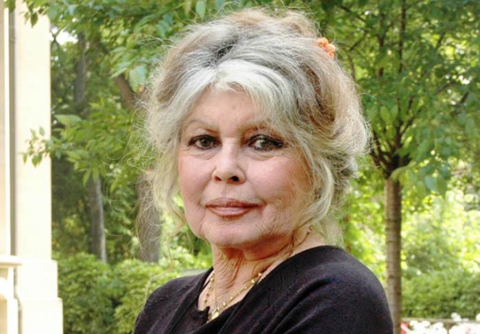 Brigitte Bardot teve câncer de mama em 1983, a atriz francesa não queria fazer tratamento e teve que ser convencida pelos amigos.