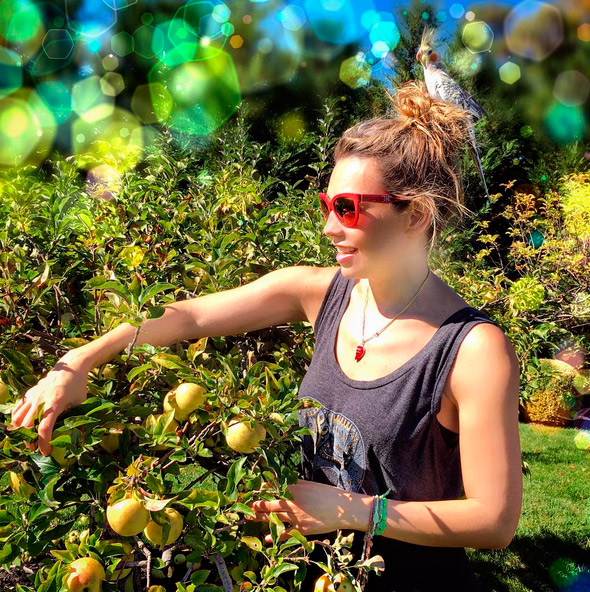  Thalia colhe maçãs em seu pomar, com os filhos