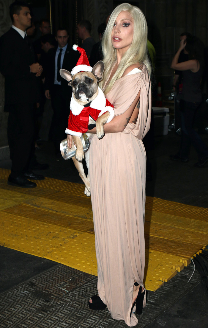 Com cachorros vestidos de Papai Noel, Lady Gaga chega em NY