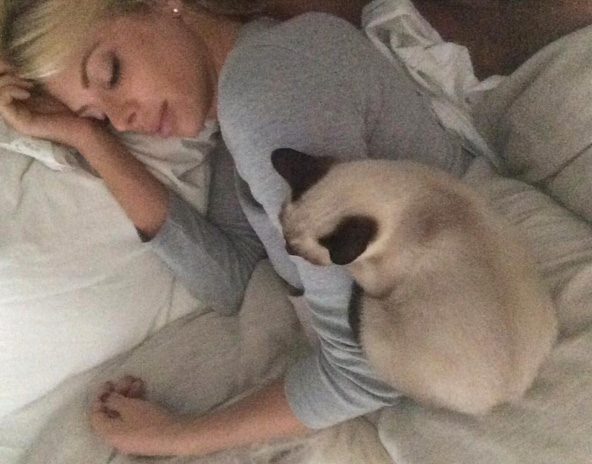Carol Bittencourt faz foto fofa enquanto dorme com gatinho