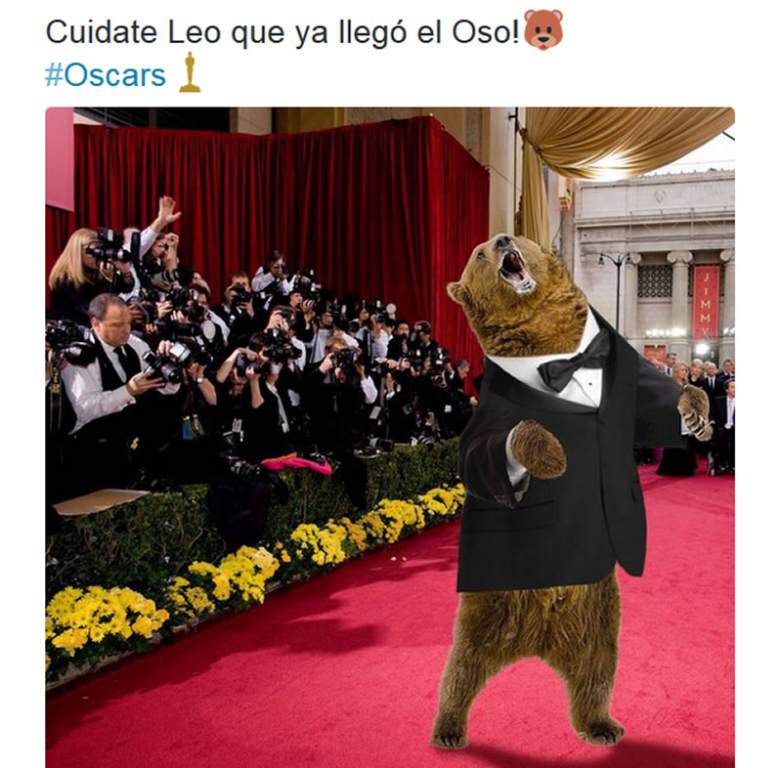 O urso do filme O Regresso também ganhou um meme na internet