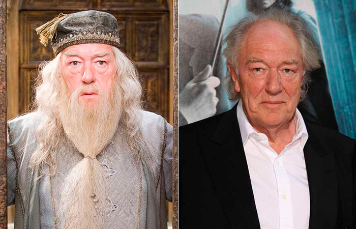 Michael Gambon: Antes mesmo de se tornar ainda mais conhecido como Dumbledore, o famoso diretor da escola dos bruxinhos, o ator já colecionava filmes de sucesso em seu currículo e continua sendo um exemplo de atuação, aos 75 anos. Seu mais recente trabalho nos cinemas foi em O Quarteto, de 2012