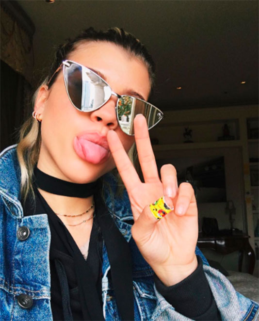  7 motivos para Selena Gomez sentir ciúmes de Sofia Richie 