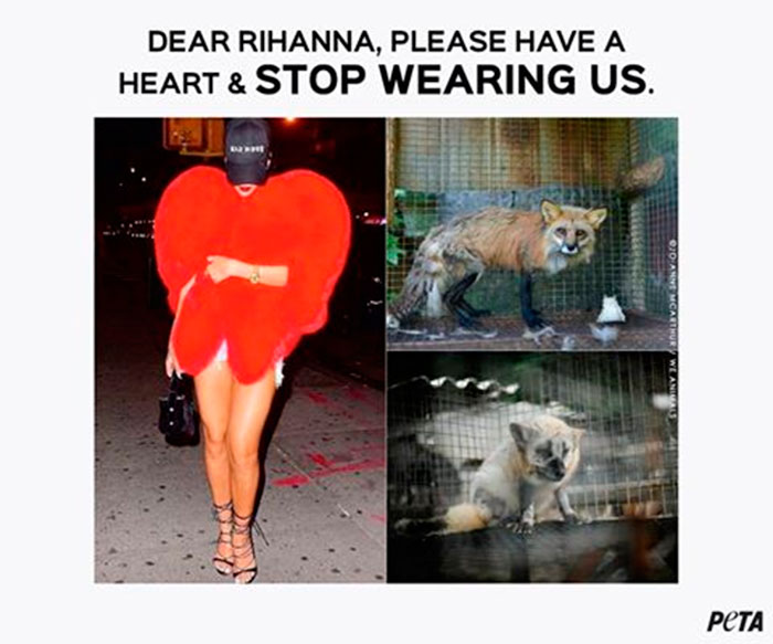 Rihanna é criticada por ONG em defesa dos animais