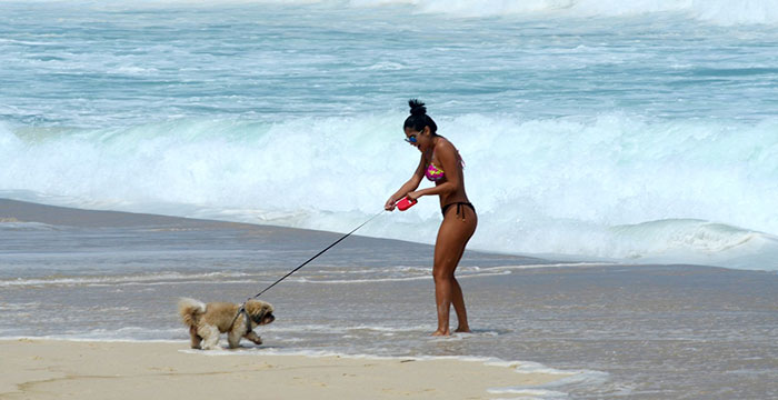 Munik decidiu aproveitar o calor do Rio de Janeiro para levar seu cachorrinho para passear