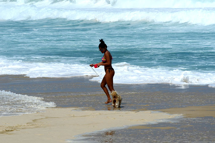 A ex-BBB pareceu ter se divertido, na beira do mar, junto com o pet