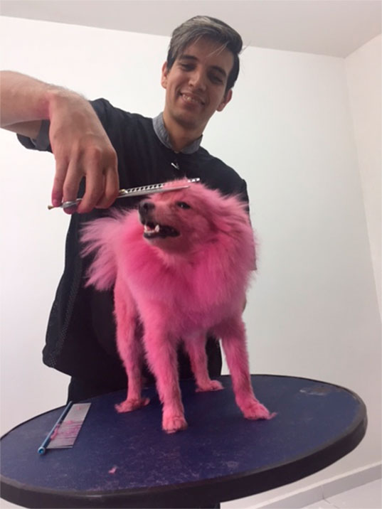 Pet de Julinho do Carmo fica rosa para o Dia das Crianças