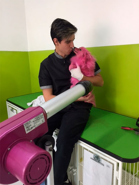 Pet de Julinho do Carmo fica rosa para o Dia das Crianças